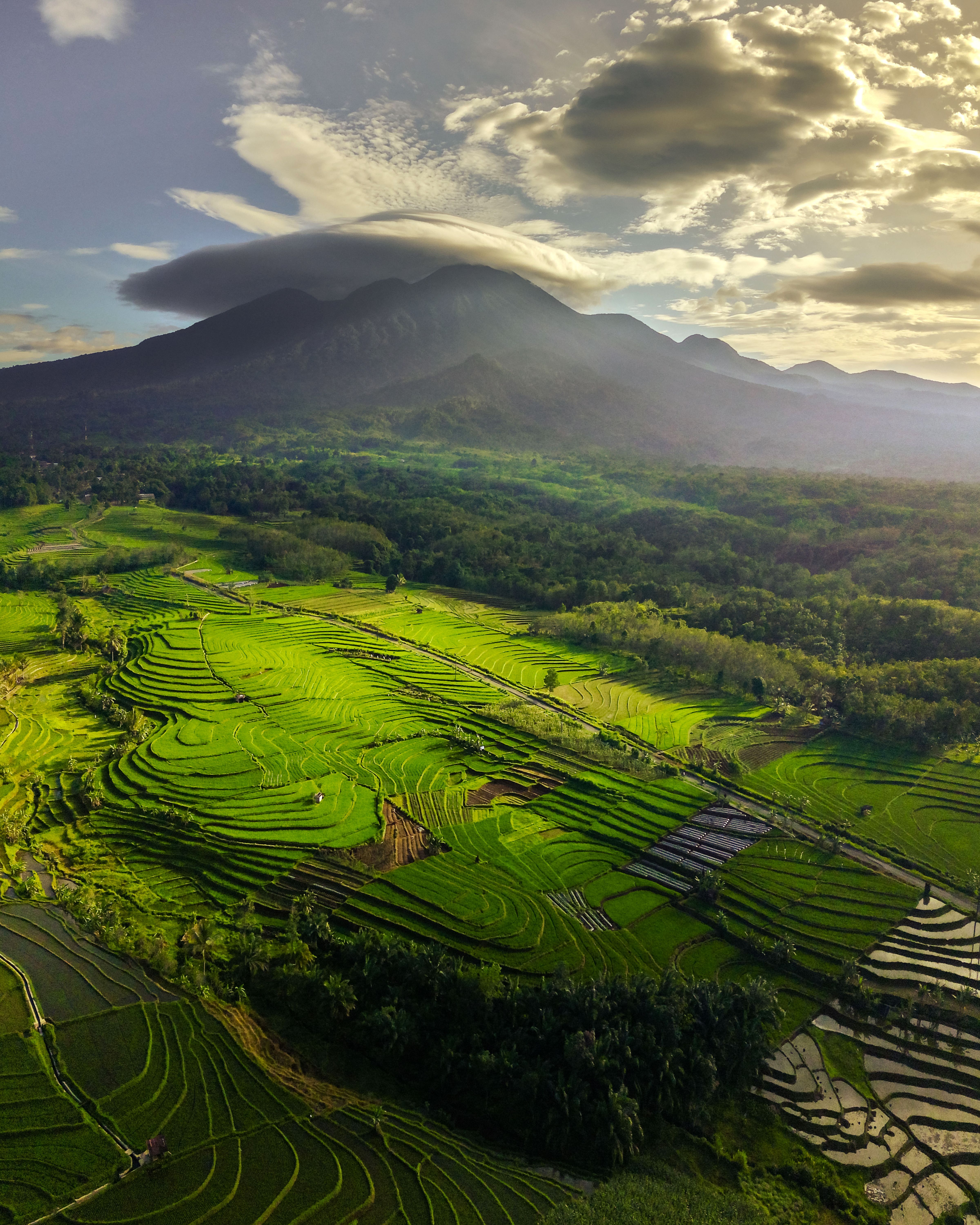 Terraced rice fields beneath a cloud-capped mountain in warm sunlight